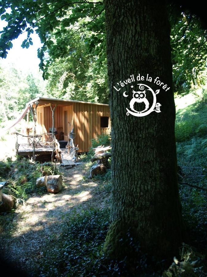 Gite Nature Au Pied Des Hetres Vitrac-sur-Montane Exteriér fotografie